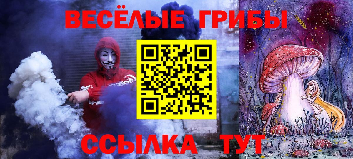 Галлюциногенные грибы Psilocybine cubensis Мурино