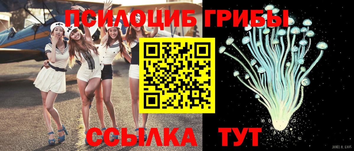 где найти   Псилоцибиновые грибы мухоморы  Галлюциногенные грибы Magic Shrooms  Вход с VPN  Мурино 